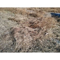 里山で草刈作業　〜群馬高崎の植木屋ゆうさんblog〜の画像3