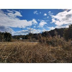 里山で草刈作業　〜群馬高崎の植木屋ゆうさんblog〜の画像2