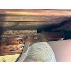 京都府にてネズミ駆除防除対策を行いました。の画像1