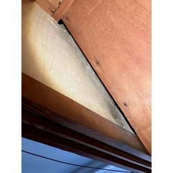 京都府にてネズミ駆除防除対策を行いました。の画像3