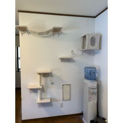 キャットウォークの取付の画像1
