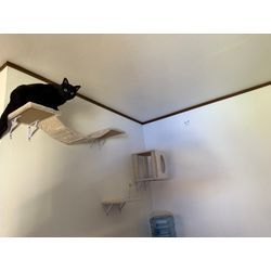 キャットウォークの取付の画像2