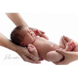 ゆりかごの画像2