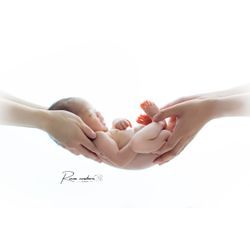 ゆりかごの画像1