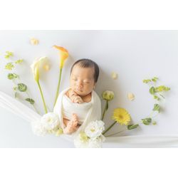 フラワーポケットの画像1