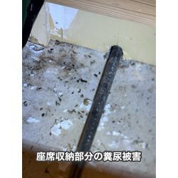 ネズミ対策　北九州市　テナントの画像3