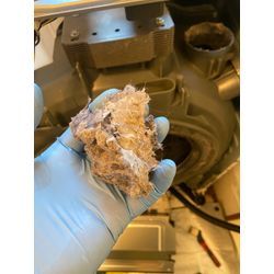 港北区 パナソニック NA-LX129A ドラム式洗濯機クリーニング｜臭いとホコリの原因の画像1