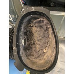 港北区 パナソニック NA-LX129A ドラム式洗濯機クリーニング｜臭いとホコリの原因の画像2