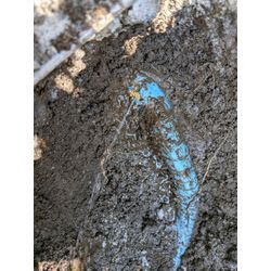 地面下の水漏れ修理の画像1