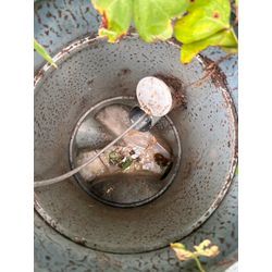 キッチンつまりの画像1