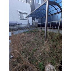 神奈川県鎌倉市にて草むしりを行いましたpart.1の画像1