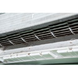 ペット業種のお店は要注意 犬・猫の毛がエアコンに与える影響と清掃の目安の画像1