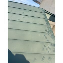 2026年　1月半ばの画像1