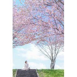 春の訪れ☘️の画像1