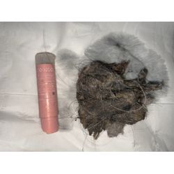 中原区でドラム式洗濯機の詰まり除去に行ってきました！の画像1