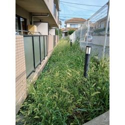 ✨マンション共用部の草刈り Before／After✨の画像1