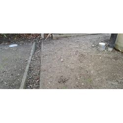 草むしりの画像1