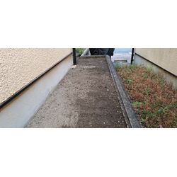 草むしりの画像2