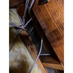 福岡県柳川市　シロアリ　駆除の画像3