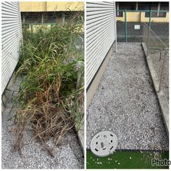 草むしりのご依頼の画像2