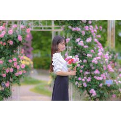 ばらと撮影の画像2