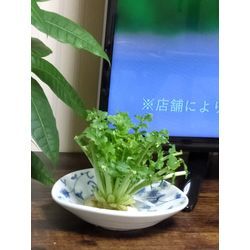 花粉？！の画像2
