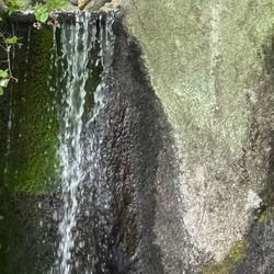 リクエストは慎重にお願い致します🙇‍♀️の画像1