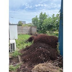 草刈り&草むしりPart2の画像2