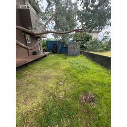 草刈り&草むしりPart2の画像1