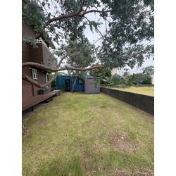 草刈り&草むしりPart2の画像3