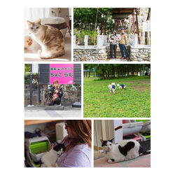 今年もいよいよあと数分！の画像1