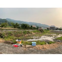 毎日暑いですね☀️の画像1