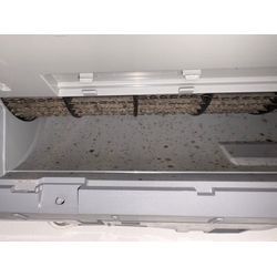 黒カビも外に出てくる？！の画像1