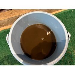 黒カビも外に出てくる？！の画像3