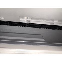 黒カビも外に出てくる？！の画像2