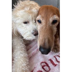 大掃除のあとは“のんびり”。だから気づけた「家の疲れ」の話。 おたすけマンの画像1