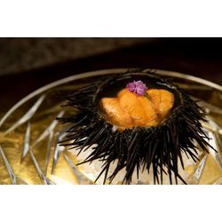 【月のしずく、海の記憶】の画像1