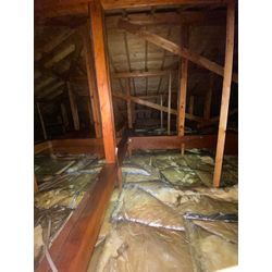 熊本県植木町　シロアリ　駆除の画像2