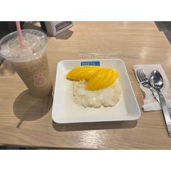 トラの赤ちゃんやばいの画像3