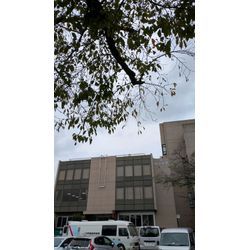 本日は健康診断の画像1