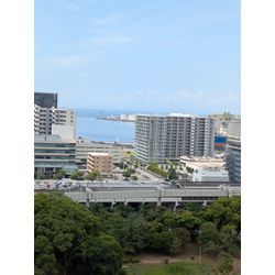 ロープアクセスでガラス清掃をしました。の画像3