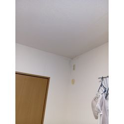 壁紙クロスクリーニング・カビ除去専用の画像3