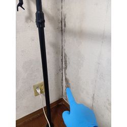 壁紙クロスクリーニング・カビ除去専用の画像1
