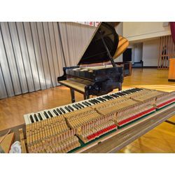 コンサートの調律ですの画像2