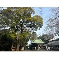お店の名前が決まりました🫶の画像1