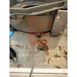 【大阪市 パナソニックドラム式洗濯機 VXシリーズの汚れ】の画像2