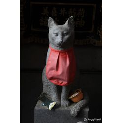 火事を知らせた猫の画像1