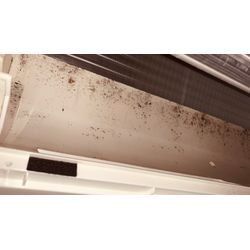 コロナCSH-X4019R2お掃除付き　ドレンパン・送風ファン外しの画像3