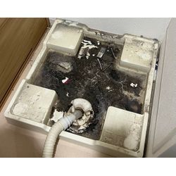 川越市　洗濯機排水口詰まり除去！の画像2