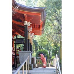 千葉県市原市八幡にある飯香岡八幡宮でのお宮参り撮影の画像3